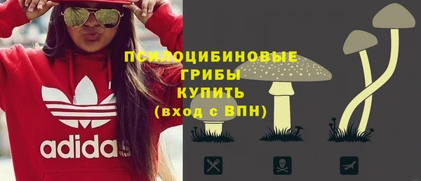 мет Бородино
