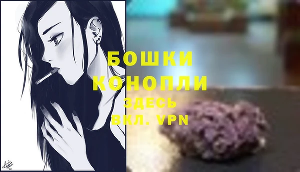 мет Бородино