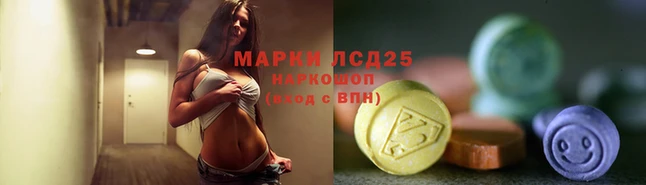мет Бородино