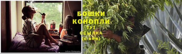 дживик Семилуки
