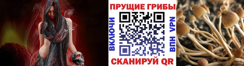 Псилоцибиновые грибы мицелий  Юрюзань 
